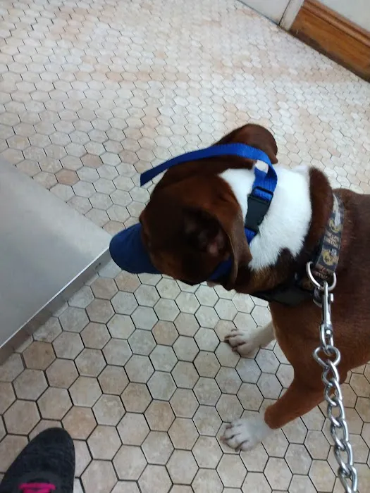 Carrollton Veterinary Hospital 12