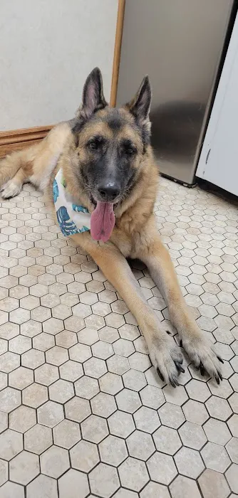 Carrollton Veterinary Hospital 12