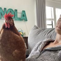 Carrollton Veterinary Hospital ico