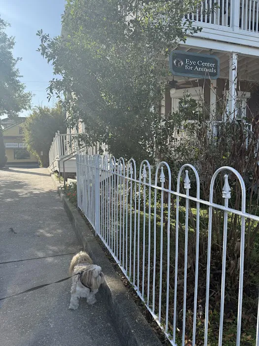 Eye Center For Animals Inc 6