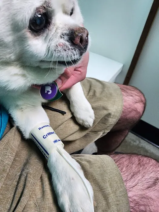 MidCity Veterinary Hospital 5
