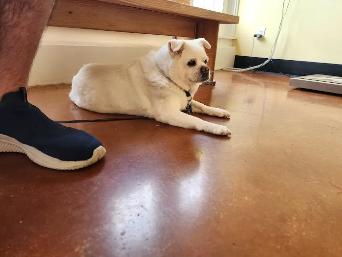 MidCity Veterinary Hospital 1
