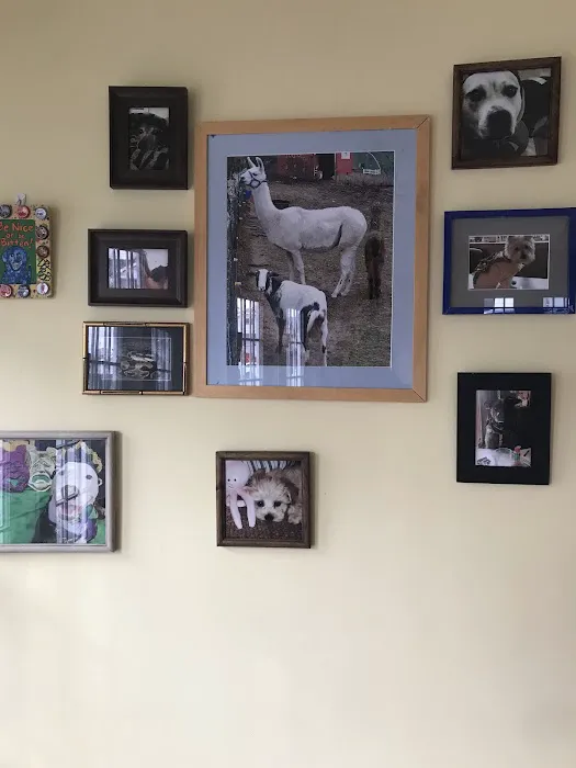 MidCity Veterinary Hospital 2
