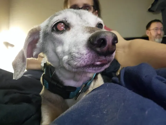 Canal Street Veterinary Hospital 4