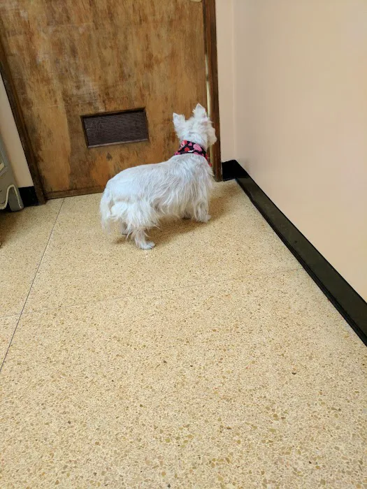 Canal Street Veterinary Hospital 3