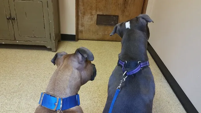 Canal Street Veterinary Hospital 5