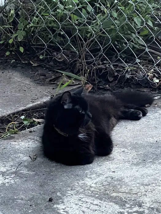 Canal Street Veterinary Hospital 10