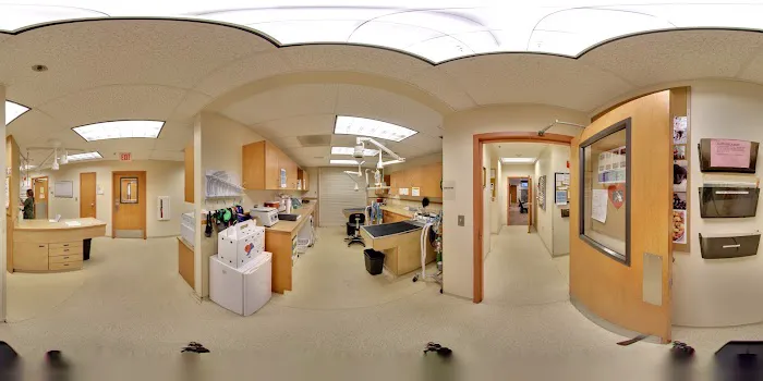 Metairie Small Animal Hospital 3