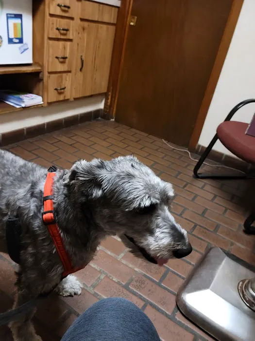 Elysian Fields Animal Clinic 1