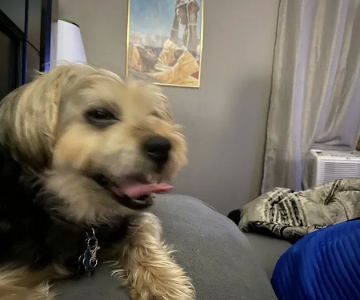 Expressway Animal Hospital