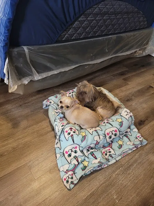 Expressway Animal Hospital 3