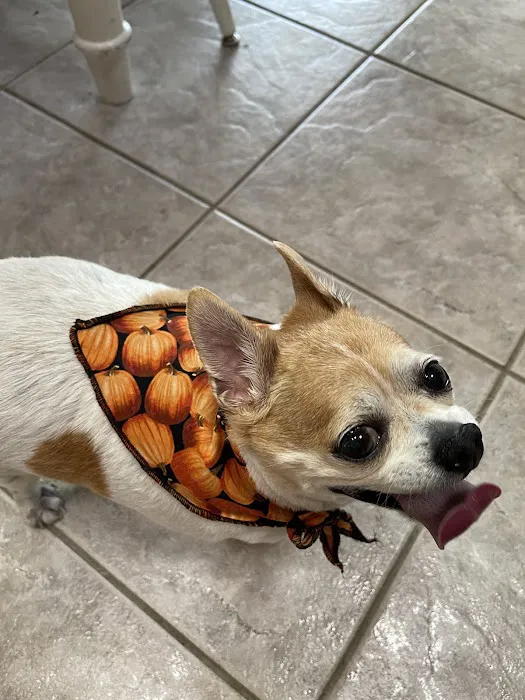Expressway Animal Hospital 9