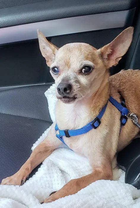 Expressway Animal Hospital 7