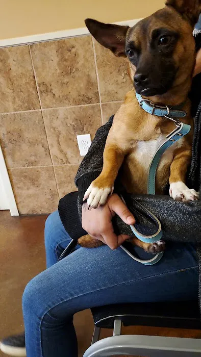 Expressway Animal Hospital 4