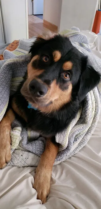 Woodside Animal Hospital 1