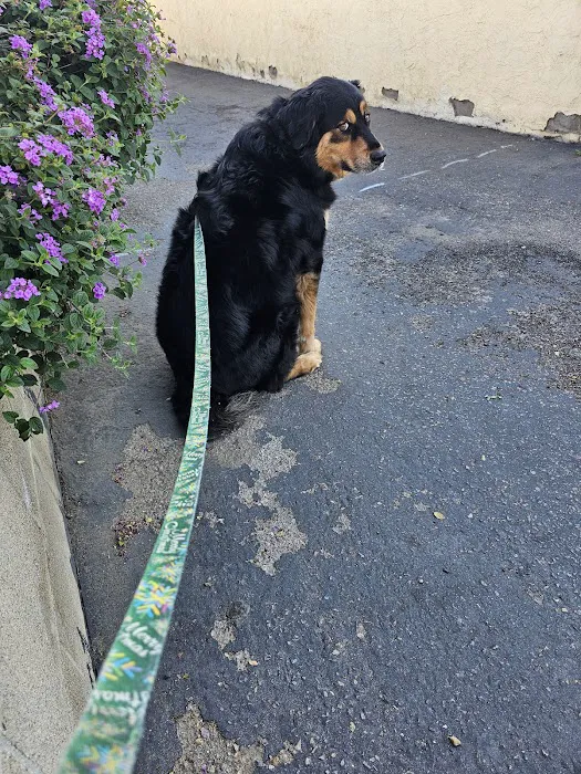 Woodside Animal Hospital 7