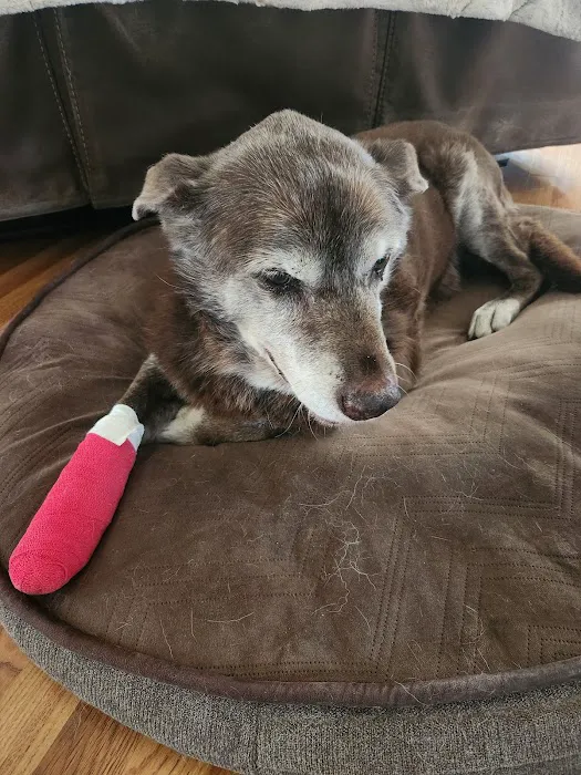 Woodside Animal Hospital 6