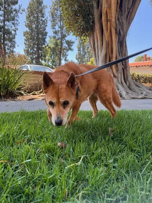 Woodside Animal Hospital 3