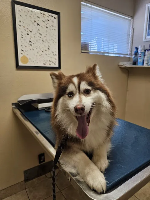 Woodside Animal Hospital 10