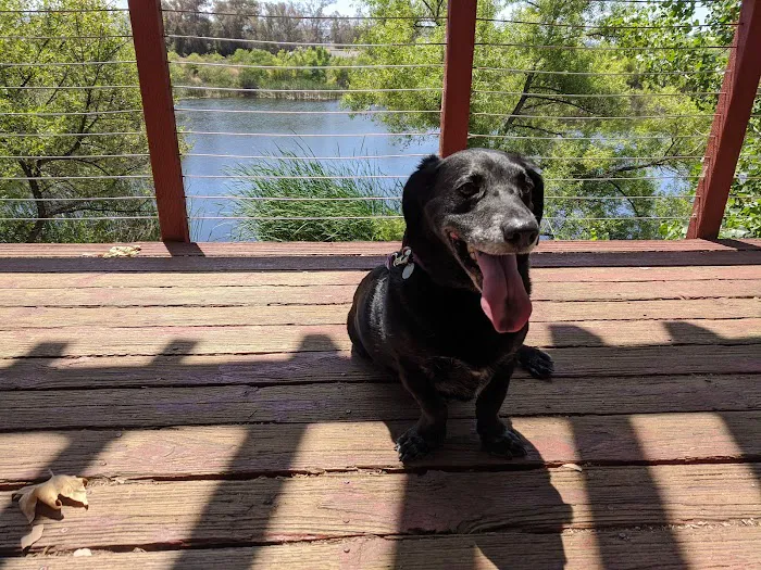 Lakeside Veterinary Hospital 12