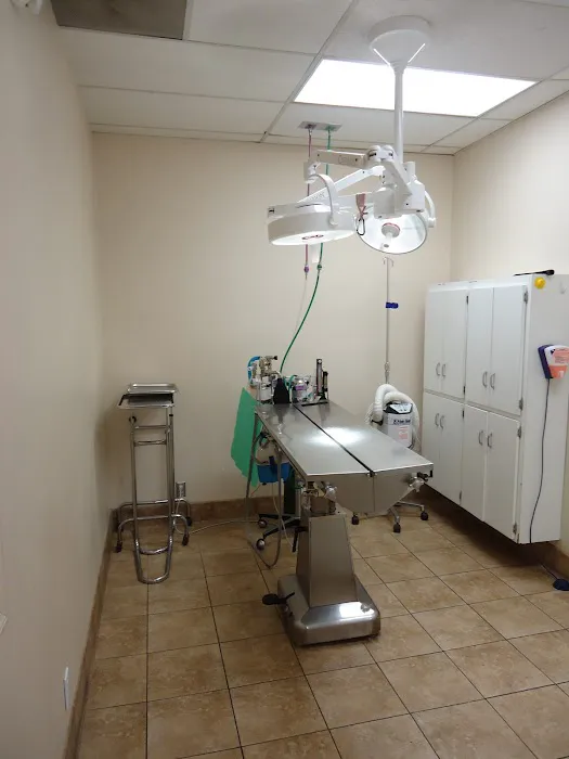 VCA Grossmont Animal Hospital 12