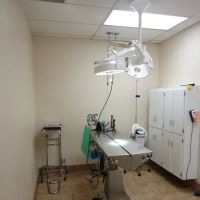 VCA Grossmont Animal Hospital ico