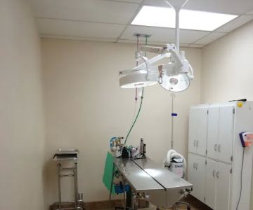 VCA Grossmont Animal Hospital