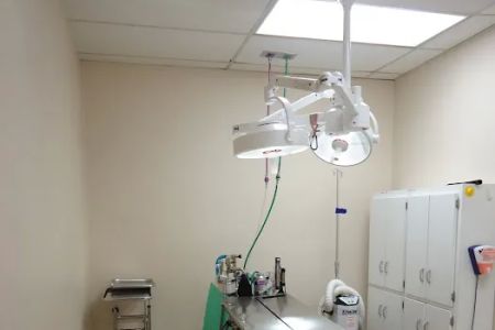 VCA Grossmont Animal Hospital