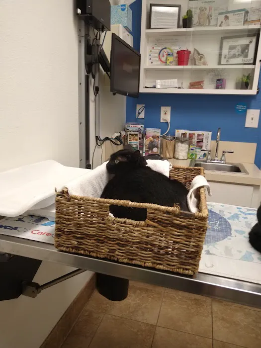 VCA Grossmont Animal Hospital 12