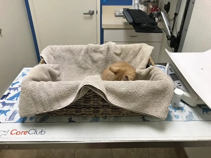 VCA Grossmont Animal Hospital 12