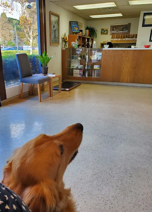 The Pet Hospital of La Mesa 9