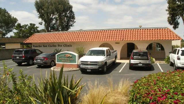 Rancho San Carlos Pet Clinic 1
