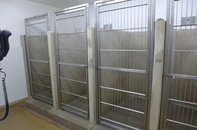 Rancho San Carlos Pet Clinic 5