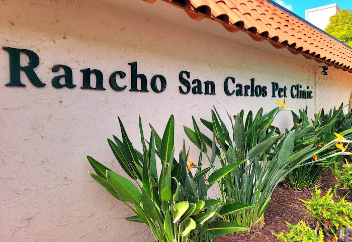 Rancho San Carlos Pet Clinic 3