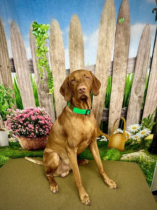 Rancho San Carlos Pet Clinic 7