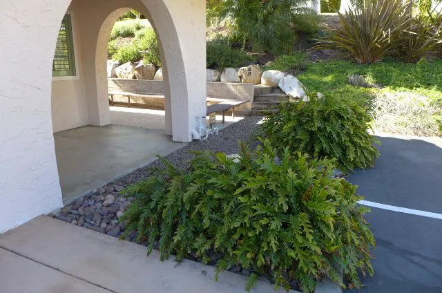 Rancho San Carlos Pet Clinic 6
