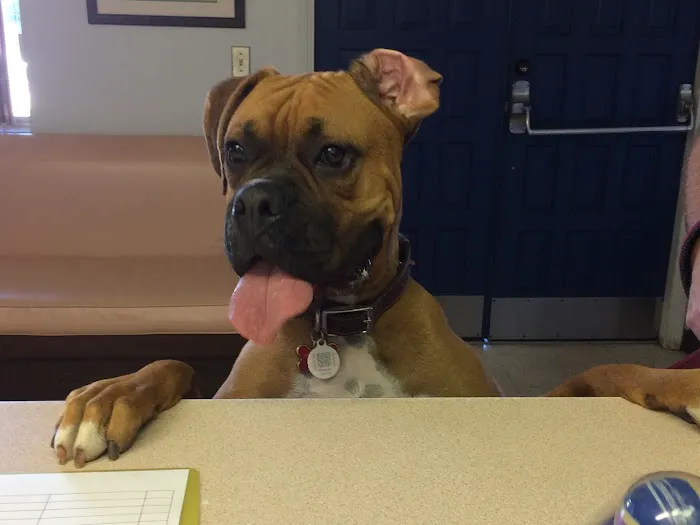 Santee Pet Hospital 7