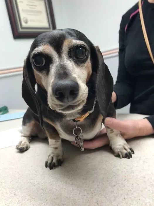 Santee Pet Hospital 1