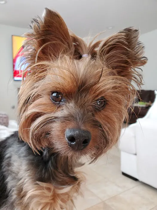 MAST BOULEVARD PET HOSPITAL 12