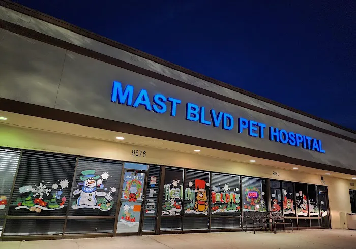 MAST BOULEVARD PET HOSPITAL 12