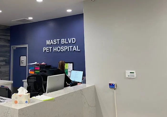 MAST BOULEVARD PET HOSPITAL 12