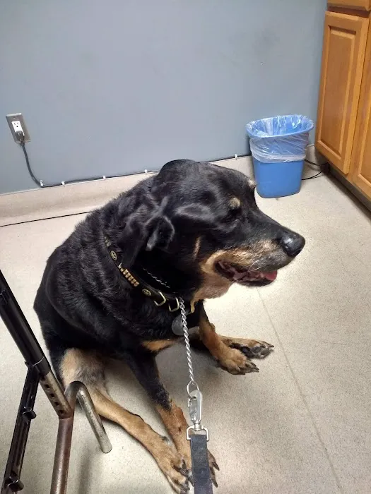 MAST BOULEVARD PET HOSPITAL 12
