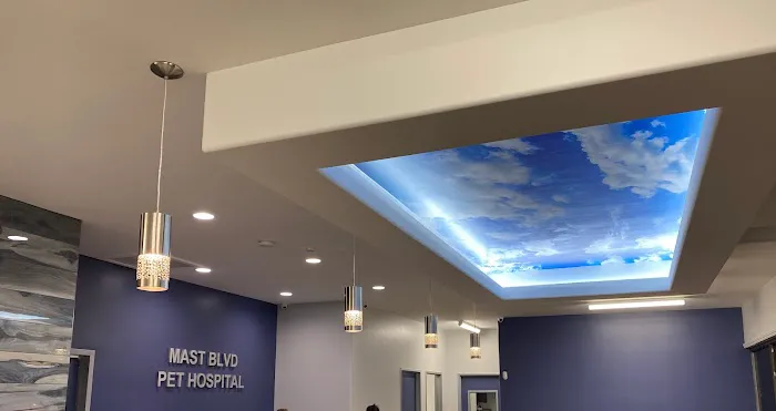 MAST BOULEVARD PET HOSPITAL 12