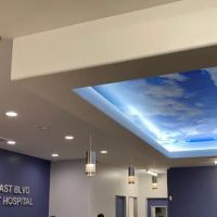MAST BOULEVARD PET HOSPITAL ico