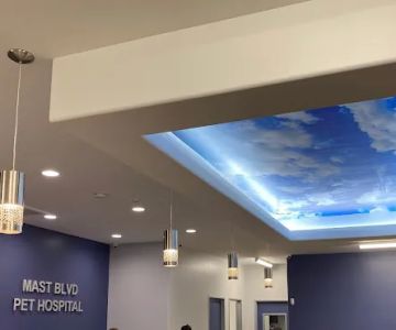 MAST BOULEVARD PET HOSPITAL