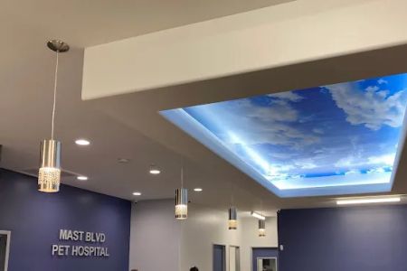 MAST BOULEVARD PET HOSPITAL