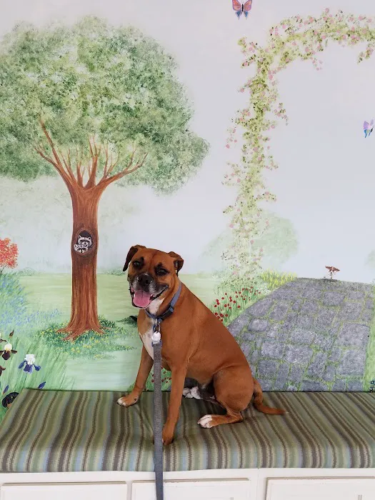 Jamul Veterinary Hospital 7