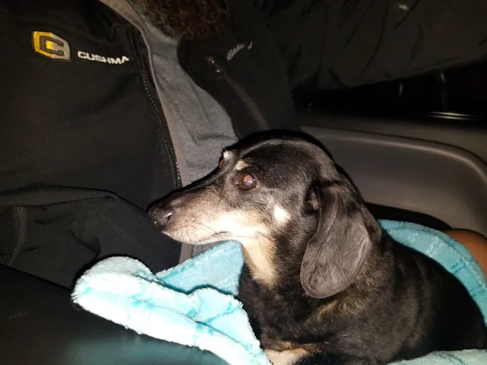 Jamul Veterinary Hospital 8