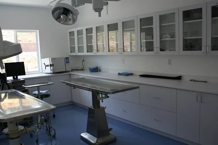Jamul Veterinary Hospital 4