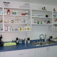 Jamul Veterinary Hospital ico